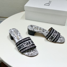 Christian Dior Slippers